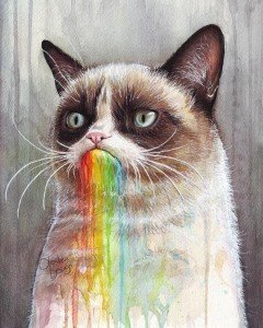 Rainbow Cat